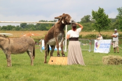 AnesVictoiresIMG_3392