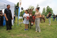 ConcoursIMG_3412