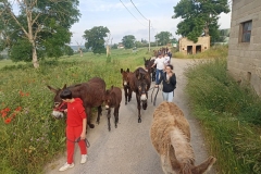 DefileIMG_20250601_083003