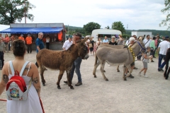DefileIMG_3423