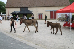 DefileIMG_3425