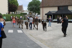 DefileIMG_3426