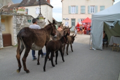 DefileIMG_3427