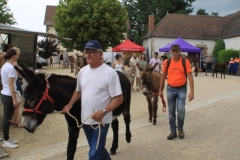 DefileIMG_3431