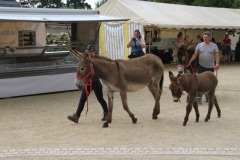 DefileIMG_3433