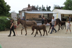DefileIMG_3434