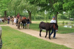 DefileIMG_3437