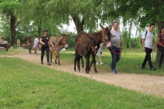 DefileIMG_3440