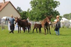 PresentationIMG_3361