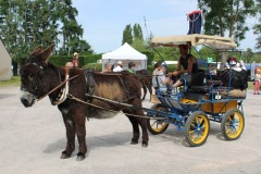 CalecheIMG_9780PS