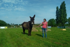 MaraichageIMG_20250601_093953