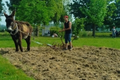 MaraichageIMG_20250601_101120