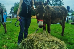 MaraichageIMG_20250601_104410