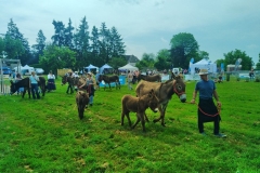MaraichageIMG_20250601_104448