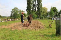 MaraichageIMG_3352