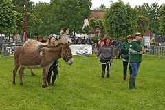 IMG_20240602_101242-scaled