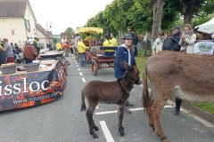 IMG_20240602_114241-scaled