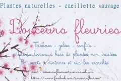 Logo-douceurs-fleuries