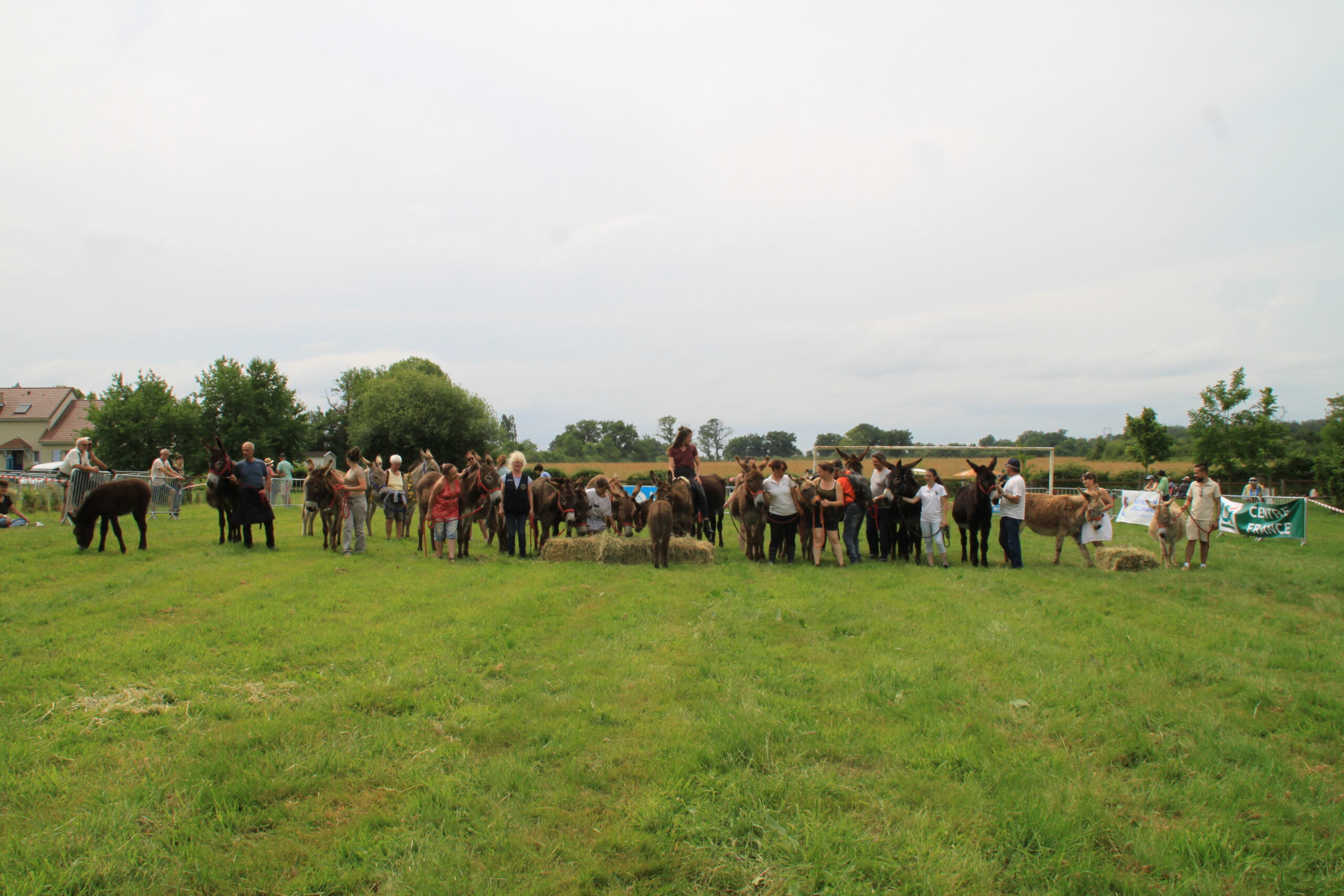 Festiv'Ânes & Traditions