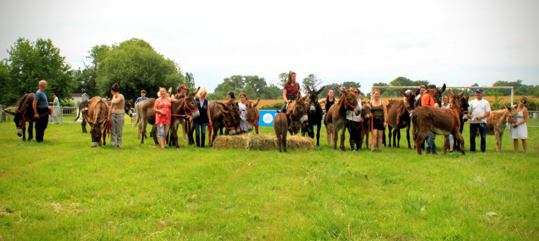 Festiv'Ânes & Traditions